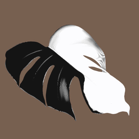 sheet monstera alba. tropical leaf with white spots. graphic sheetの写真素材