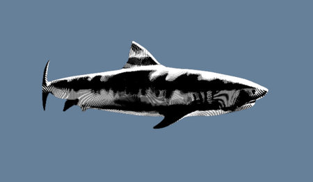Shark engraving. Realistic illustration of a shark. Black and white graphicsの写真素材
