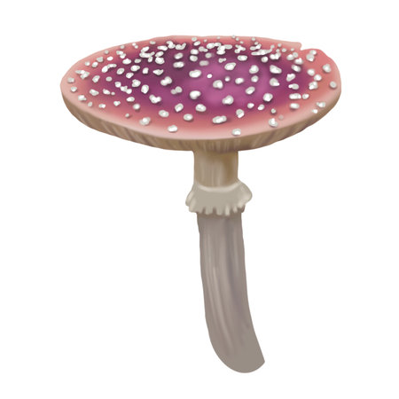 Watercolor red fly agaric. Realistic fly agaric mushroom. Poisonous mushroomの写真素材