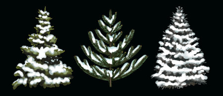 Watercolor set of Christmas trees. realistic set of Christmas trees.の写真素材