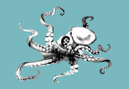 octopus engraving. Realistic octopus illustration. High quality graphicの写真素材