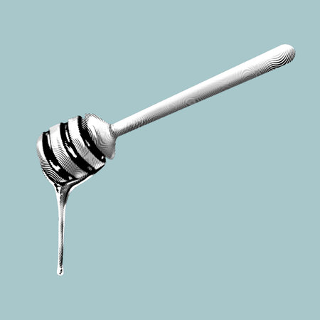 graphic engraving honey spoon. a spoonful of honey. Realistic illustrationの写真素材