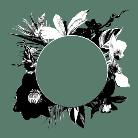 Graphic Bright tropical frame. Realistic illustration of tropical flowers: strelitzia, orchids, cymbidium, banana flower and palm leavesの写真素材