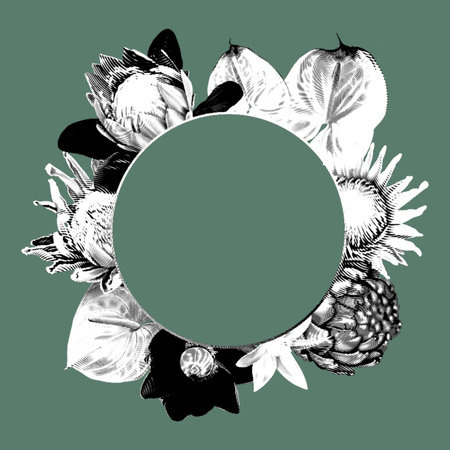 Graphic Realistic illustration of a tropical frame. Bright tropical flowers: anthurium, protea and banana flowerの写真素材