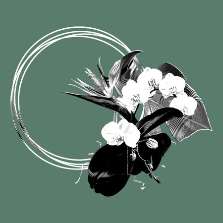 Tropical frame. Graphic frame, orchids, monstera and strelitzia.の写真素材
