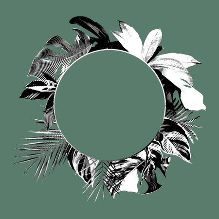 Graphic realistic frame. Tropical frame with monstera leaves and palm leaves.の写真素材