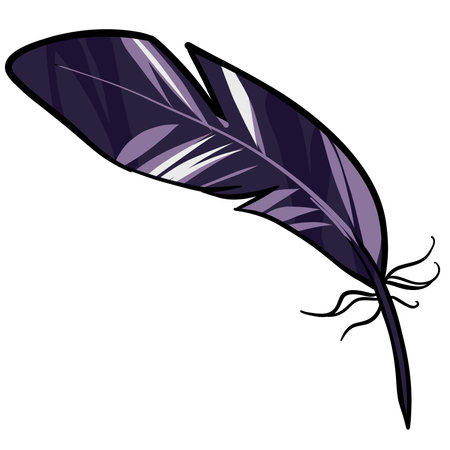Black feather. Crow pen, Vector illustration of a featherのイラスト素材
