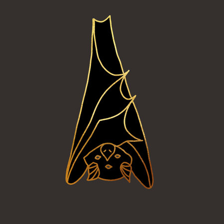 an illustration of a bat. golden linear graphics on a dark backgroundの写真素材