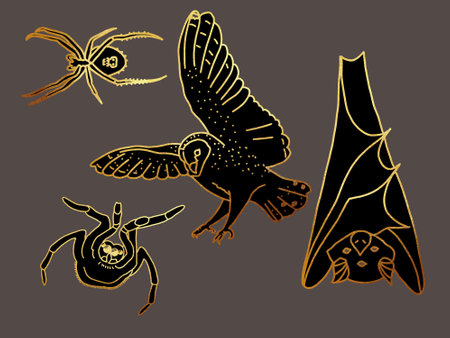 set of illustrations of the witchs familiar. spider, tarantula, owl and bat. golden linear graphics on a dark backgroundの写真素材
