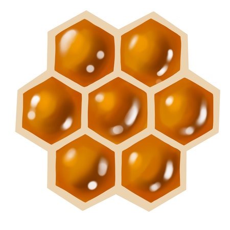 Watercolor honeycombs. Realistic honeycomb with honey isolated on a white backgroundの写真素材