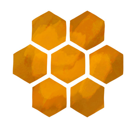 Watercolor honeycombs. Realistic honeycomb with honey isolated on a white backgroundの写真素材