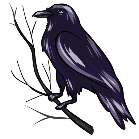 Black Raven. Vector illustration of a crow.のイラスト素材