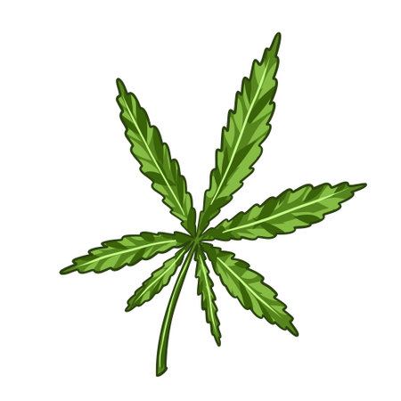 Cannabis cones. Marijuana Branch, Vector Illustration of Medical Weedのイラスト素材