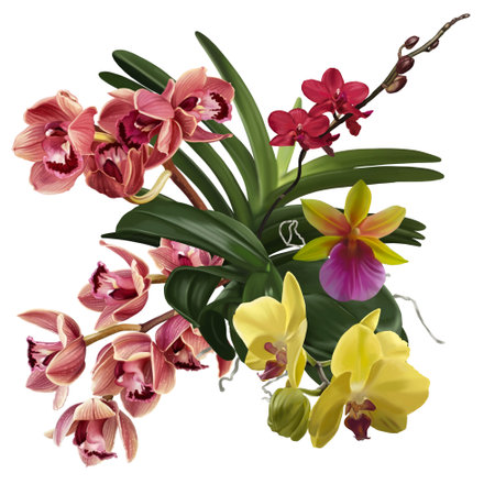 Watercolor bouquet of orchids. Realistic flowers of cymbidium, phalaenopsis and Paphiopedilumの写真素材