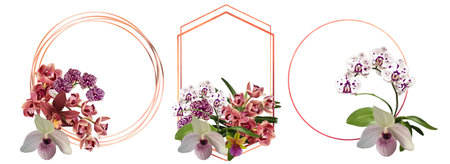 Watercolor set of frames made of orchids. frame of cymbidium, phalaenopsis and Paphiopedilumの写真素材