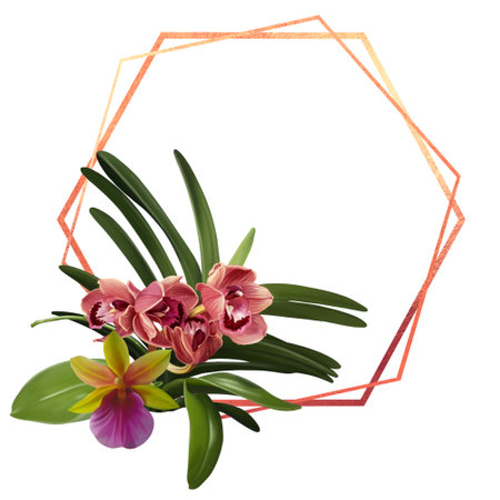 Watercolor frame made of orchids. illustration of phalaenopsis, cymbidium and Paphiopedilumの写真素材