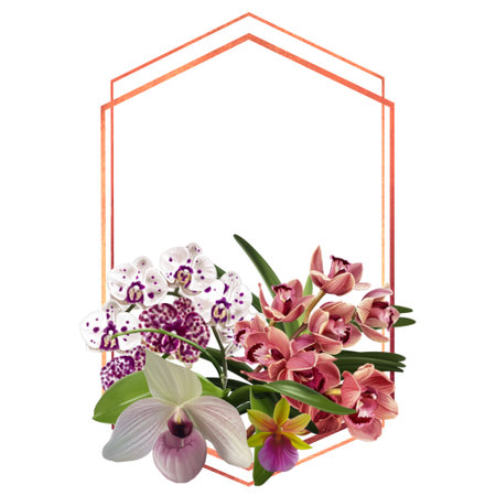 Watercolor frame made of orchids. illustration of phalaenopsis, cymbidium and Paphiopedilumの写真素材