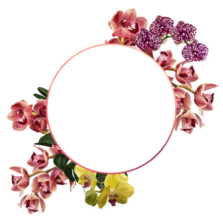 Watercolor frame made of orchids. illustration of phalaenopsis, cymbidium and Paphiopedilumの写真素材