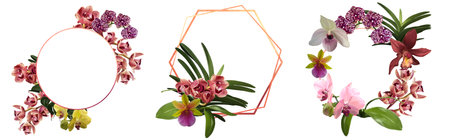 Watercolor set of frames made of orchids. frame of cymbidium, phalaenopsis and Paphiopedilumの写真素材