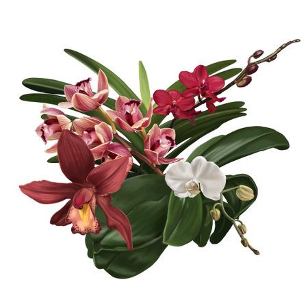 Watercolor bouquet of orchids. Realistic flowers of cymbidium, phalaenopsis and Paphiopedilumの写真素材