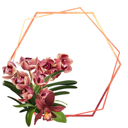 Watercolor frame made of orchids. illustration of phalaenopsis, cymbidium and Paphiopedilumの写真素材