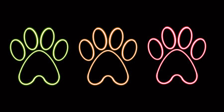 glossy paw print glowing desktop icon, neon sticker, neon figure, glowing figure, neon geometrical figuresの写真素材
