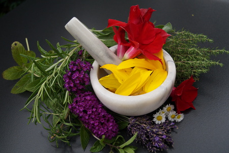 Alternative medicine with pharmaceutical herbsの写真素材