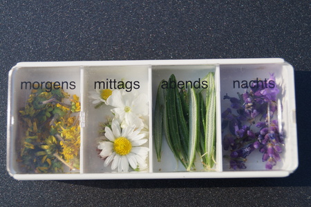 Homeopathy - the alternative medicineの写真素材