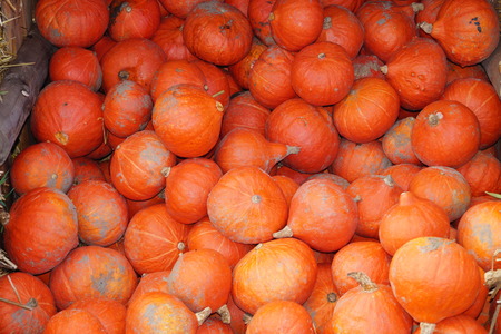 Pumpkins on a Marketの写真素材