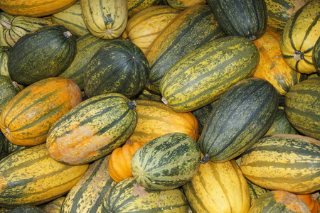 Pumpkins on a Marketの写真素材