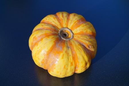 Pumpkins on a Marketの写真素材