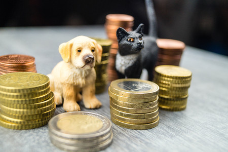 Costs of a petの写真素材
