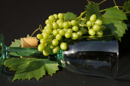 In vino veritasの写真素材