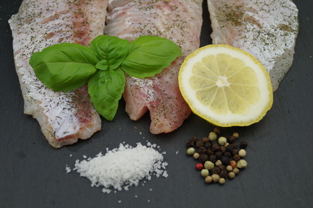 Snapper fish fillet