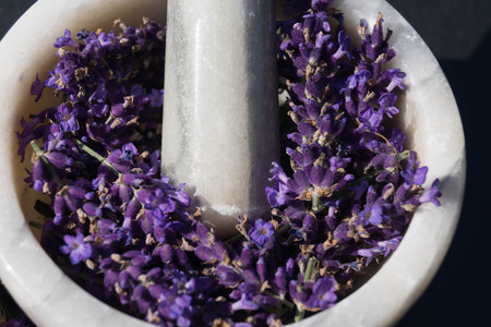 Homeopathy alternative medicine with lavenderの写真素材