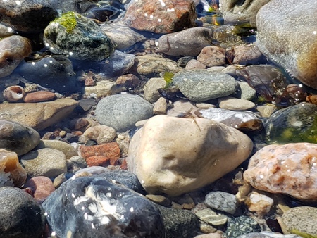 Stones in the baltic sea