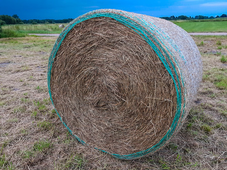 Hay harvestingの写真素材
