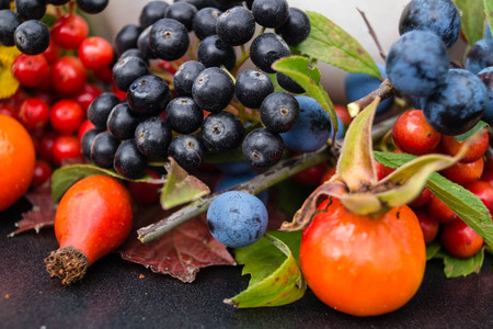 different berries colorful and healthyの写真素材