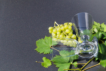 whitevine leaves and grapesの写真素材