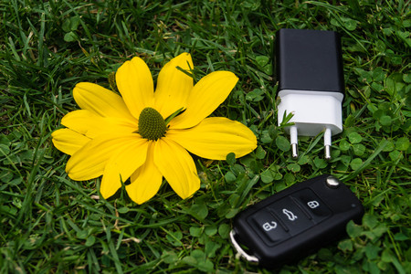 Automotive electronic mobility