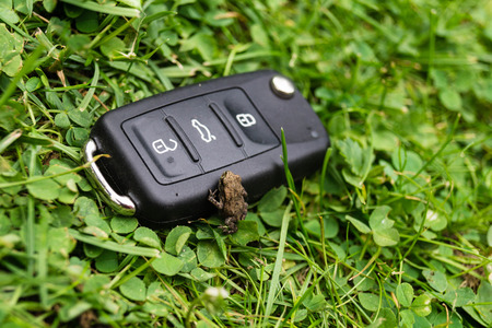 Automotive electronic mobility