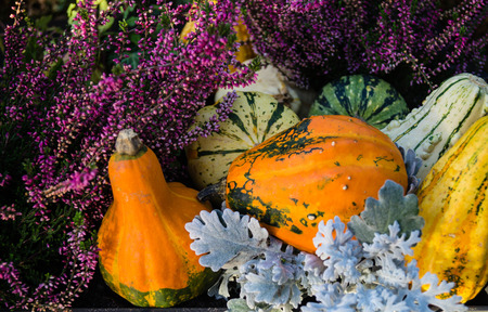 annual autumn decoration