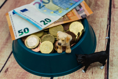 What are the costs of a petの写真素材