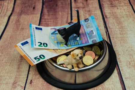 What are the costs of a petの写真素材