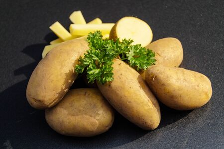 Solanum tuberosum directly after harvestingの写真素材