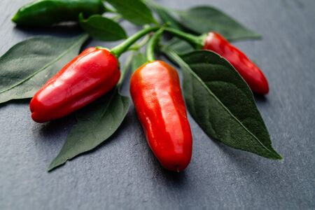 Red hot chilli pepperの写真素材