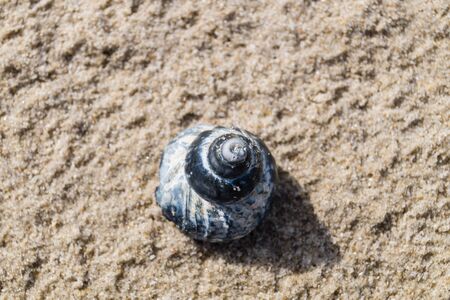 Blavand Ho Skallingen in Denmarkの写真素材