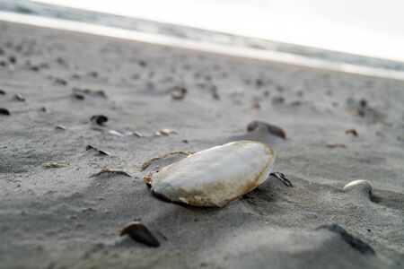 Blavand Ho Skallingen in Denmarkの写真素材