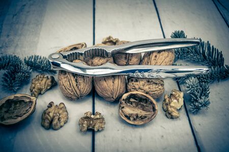 Fresh walnut going to be crackedの写真素材