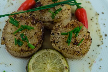 Fried saltwater seashells pectinidae with herbs and spices